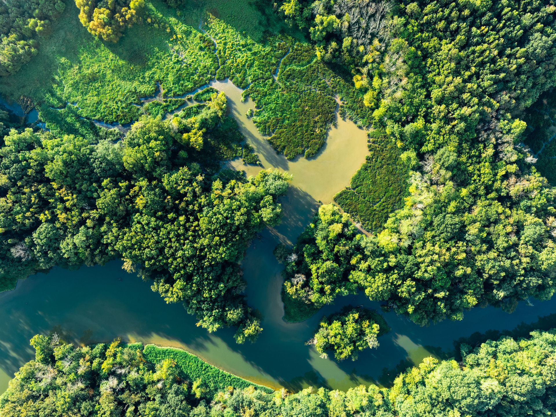 Are Investors Still Betting on Sustainable Finance in 2026