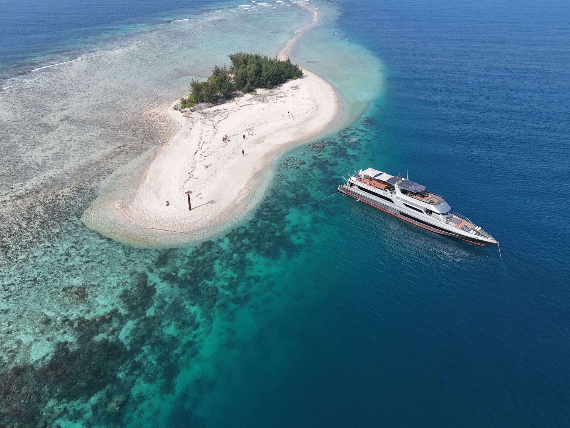 Cayman PTCs and RTCs Face New AML Return Requirement
